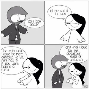 Meet your Posher, Molly